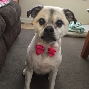 Meet your Posher, Victoria